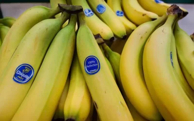 ¿Qué pasó con Chiquita Brands, EE.UU. y Colombia?